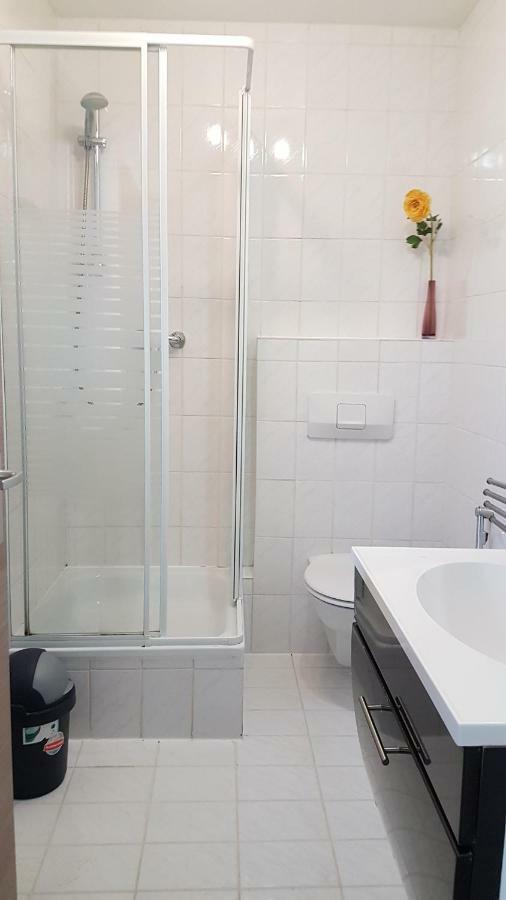 Flats-4U - Cosy, Quite & Clean Apartments In The City Bonn Exterior foto